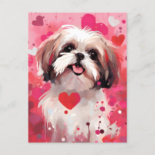 Shih Tzu Valentines day Postcard