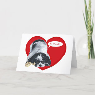 Shih Tzu Valentines Holiday Card