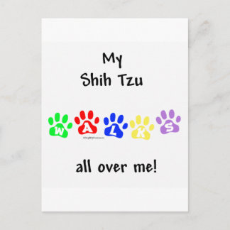 Shih Tzu Walks All Over You Postcard