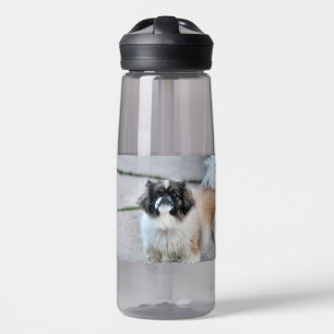 Shih tzu water bottle