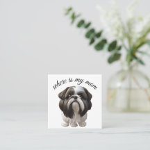 Shih Tzu - Where Is My Mom