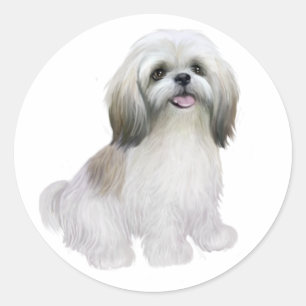 Shih Tzu - White with grey-tan Classic Round Sticker