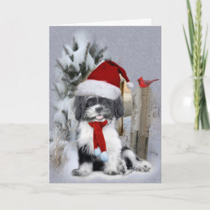 Shih Tzu winter scene Holiday Card