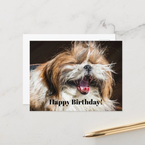 Shih tzu yawning laughing funny Happy birthday  Postcard