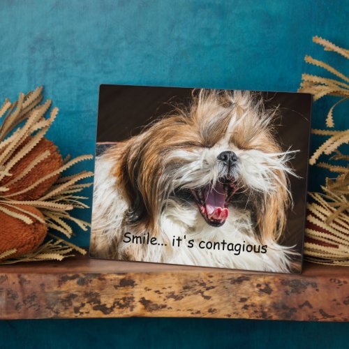 Shih tzu yawning laughing smile text customize plaque