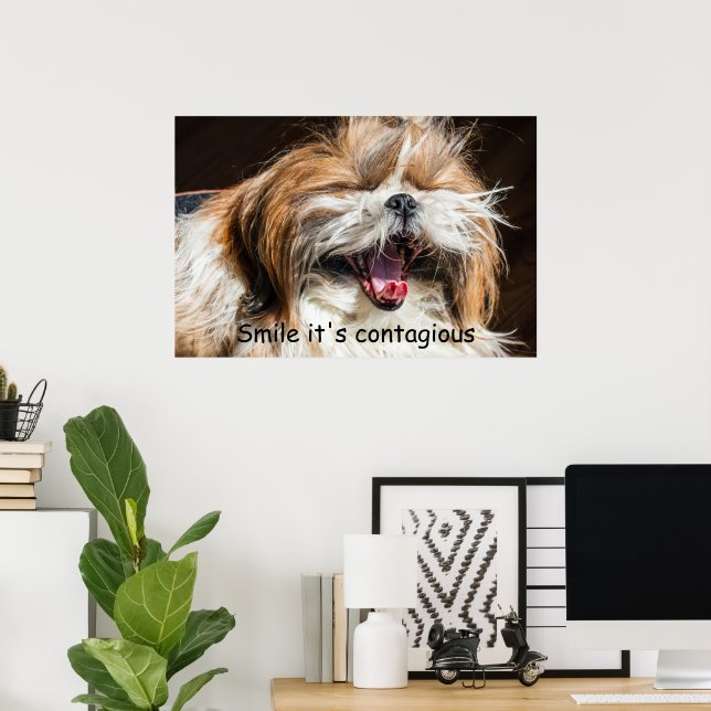 Shih tzu yawning laughing smile text customize poster (Home Office)