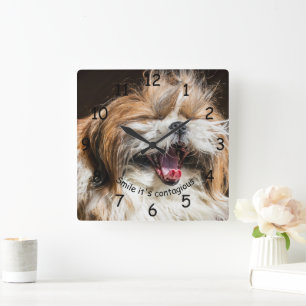 Shih tzu yawning laughing smile text customize square wall clock