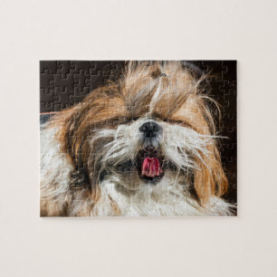 Shih tzu yawning tongue funny cute jigsaw puzzle