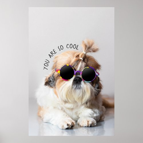 Shih Tzu You are so Cool cute fun Sunglasses Photo Poster