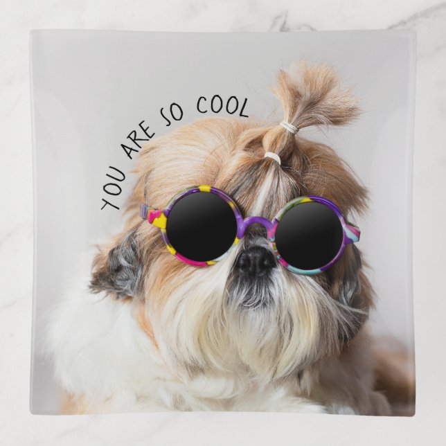 Shih Tzu You are so Cool cute fun Sunglasses Photo Trinket Tray (Front)