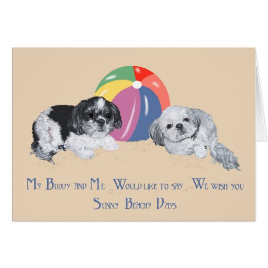 Shih Tzus at the Beach Cards (Front Horizontal)