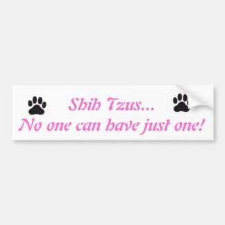 Shih Tzus...No one can have just one! Bumper Stick Sticker
