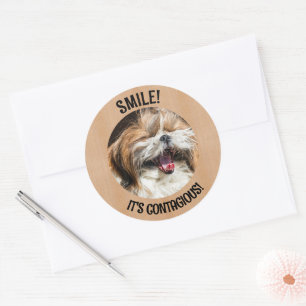 Shihtzu laughing smile it's contagious custom text classic round sticker