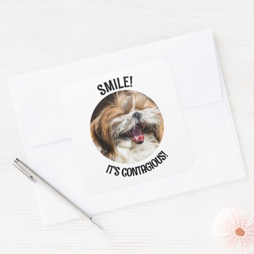 Shihtzu laughing smile its contagious custom text square sticker
