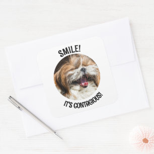 Shihtzu laughing smile it's contagious custom text square sticker