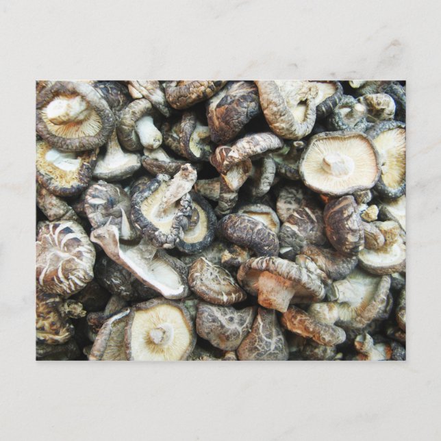 Shiitake Mushrooms Postcard (Front)