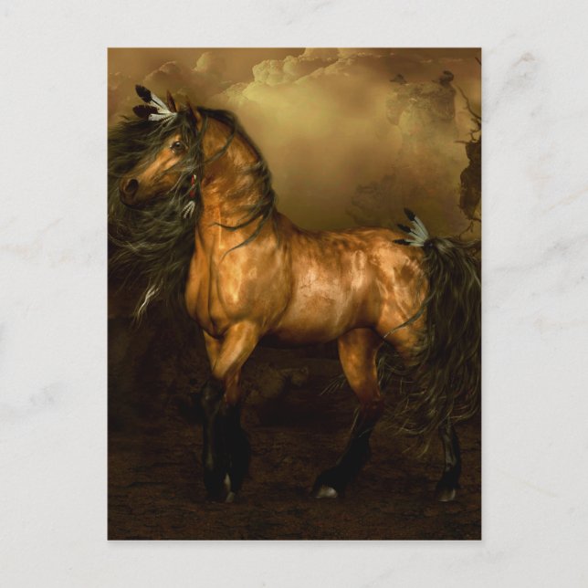 Shikoba Native American Horse Postcard (Front)