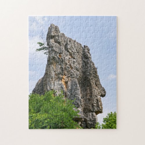 Shilin pinnacles Stone forest _ YunnanChinaAsia Jigsaw Puzzle