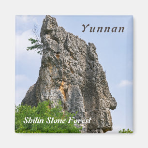 Shilin pinnacles Stone forest - Yunnan,China,Asia Magnet