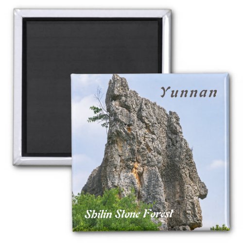 Shilin pinnacles Stone forest _ YunnanChinaAsia Magnet