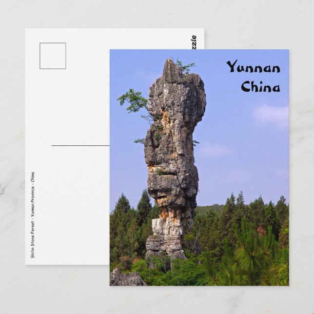 Shilin pinnacles Stone forest - Yunnan,China,Asia Postcard (Front/Back)