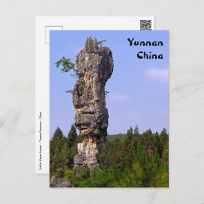 Shilin pinnacles Stone forest - Yunnan,China,Asia Postcard