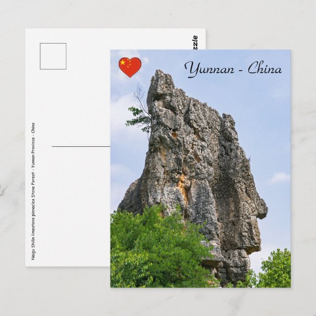 Shilin pinnacles Stone forest - Yunnan,China,Asia Postcard (Front/Back)