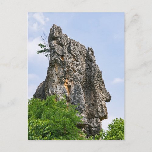 Shilin pinnacles Stone forest _ YunnanChinaAsia Postcard