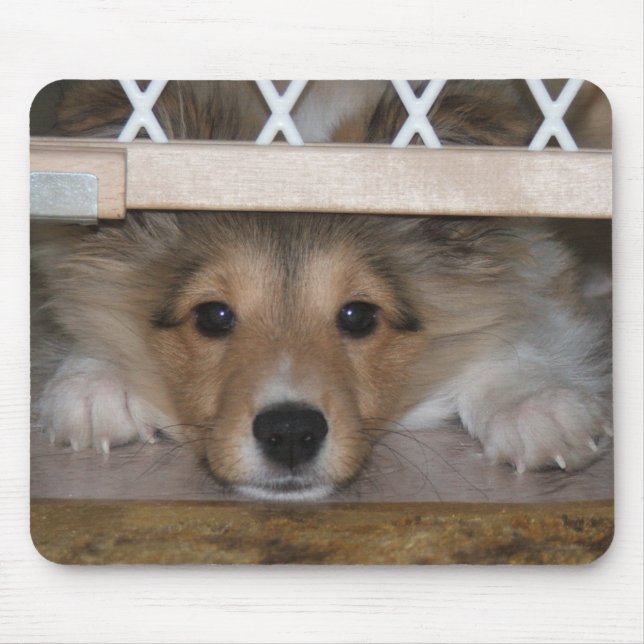 Shiloh Mousepad (Front)