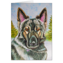 Shiloh Shepherd