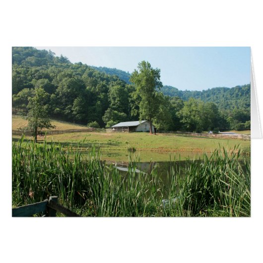 Shiloh Stables Cards (Front Horizontal)