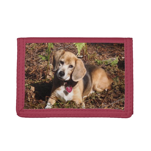 Shiloh the Beagle Trifold Wallet (Front)