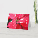Shimmer Star Surprise Poinsettia Holiday Floral