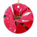 Shimmer Star Surprise Poinsettia Holiday Floral Ceramic Ornament