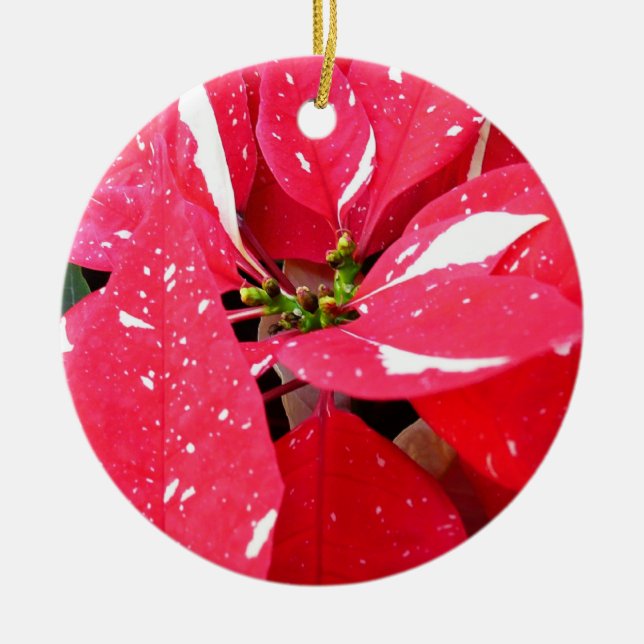 Shimmer Star Surprise Poinsettia Holiday Floral Ceramic Ornament (Front)