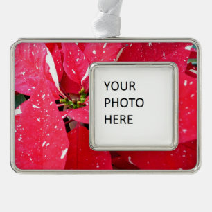 Shimmer Star Surprise Poinsettia Holiday Floral Christmas Ornament