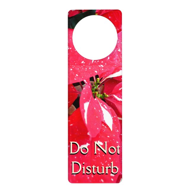 Shimmer Star Surprise Poinsettia Holiday Floral Door Hanger (Front)