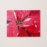 Shimmer Star Surprise Poinsettia Holiday Floral Jigsaw Puzzle