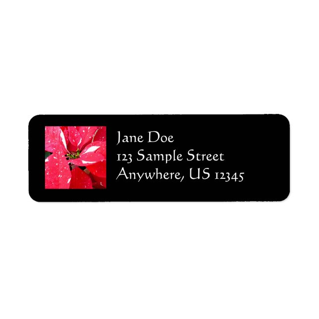 Shimmer Star Surprise Poinsettia Holiday Floral Label (Front)