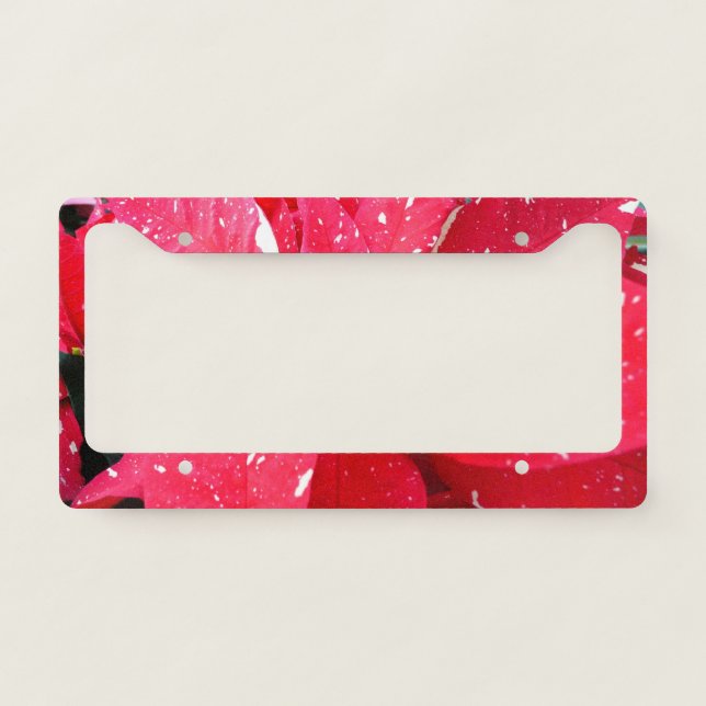 Shimmer Star Surprise Poinsettia Holiday Floral License Plate Frame (Front)