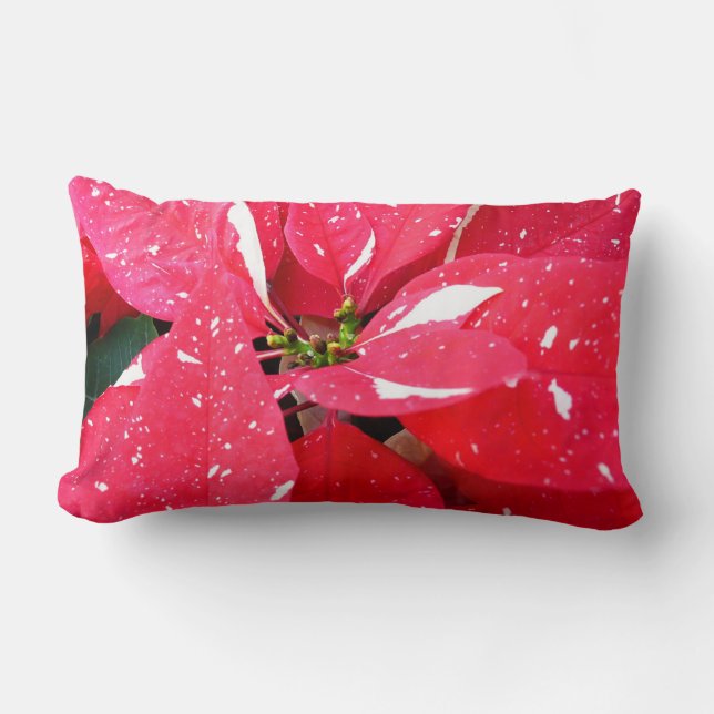 Shimmer Star Surprise Poinsettia Holiday Floral Lumbar Pillow (Front)