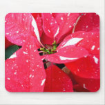 Shimmer Star Surprise Poinsettia Holiday Floral Mouse Pad