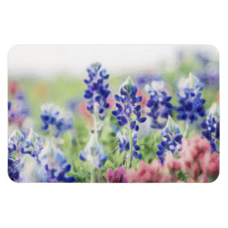 Shimmering Bluebonnets Magnet