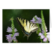 Shimmering Butterfly (Front Horizontal)