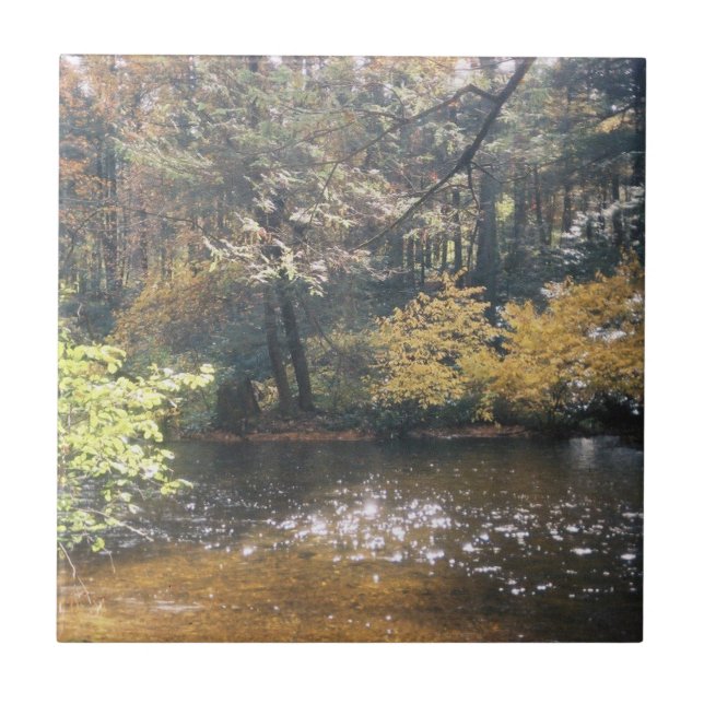 Shimmering Ceramic Tile (Front)