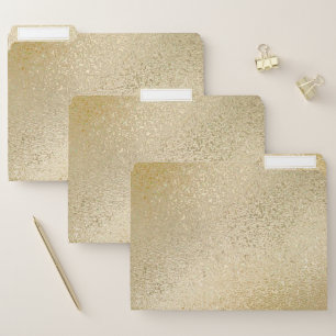Shimmering light gold iridescent texture file folder