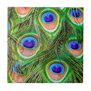 Shimmering Peacock Feathers Ceramic Tile