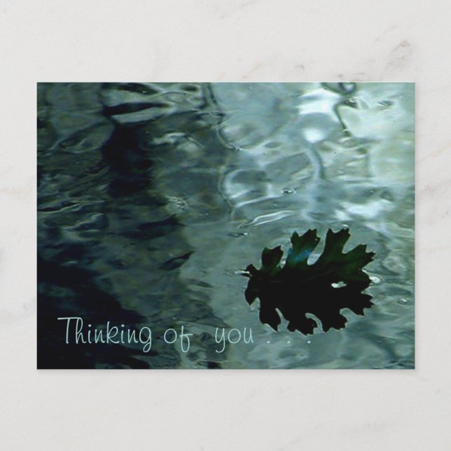 Shimmering Pond Postcard (Front)