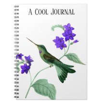 Shimmery Green Hummingbird on Purple Flower Stem
