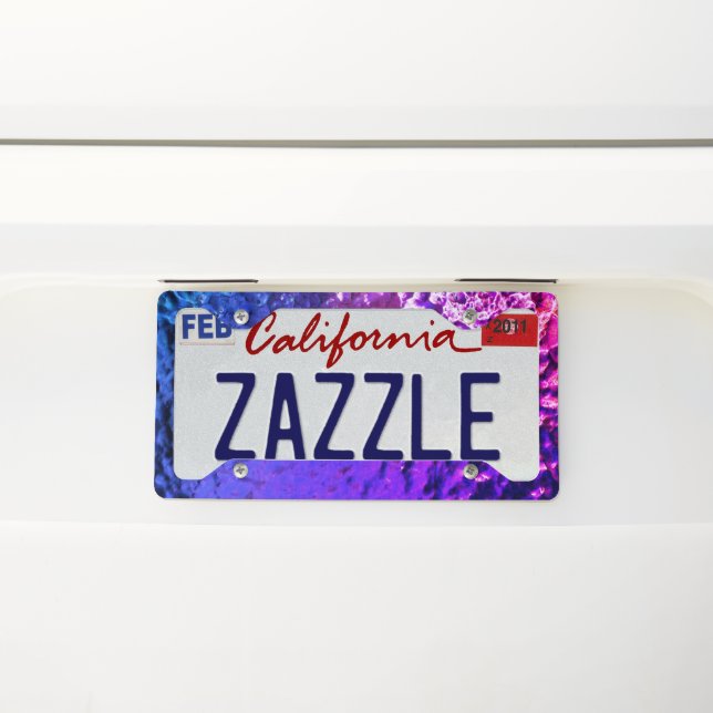 Shimmery License Plate Frame (On Car)